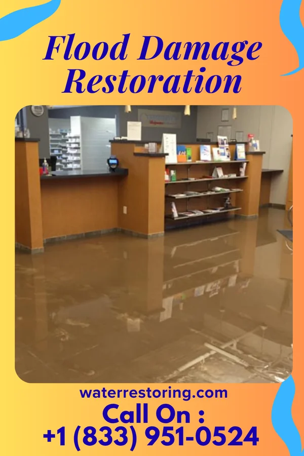 Flood Damage Restoration in Limestone, FL